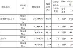 合盛硅业：未与特变电工就股权转让事宜接触或洽谈