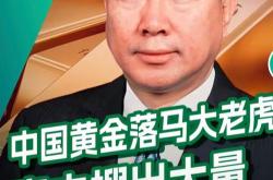 4.2亿“买壳”安奈儿，地产大亨黄涛“化身”资本玩家