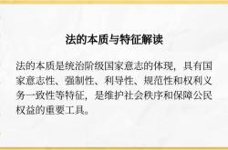 我国社会主义法律的本质探析