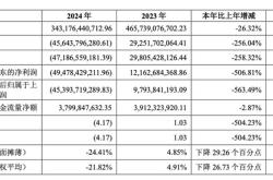 万科2024年营收3431亿元，今年一季度公开债已兑付