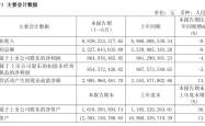 重庆啤酒上半年营收、净利齐降：啤酒销量增长0.95%，高档产品营收微增