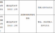 因违规新增政府隐性债务，邮储银行西藏分行被罚30万元、1名责任人领罚