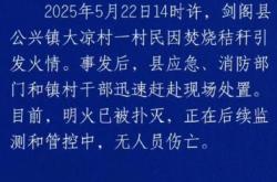 四川剑阁：山火系一村民烧秸秆引发，明火已扑灭无人员伤亡