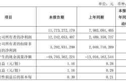 因IPO保荐执业违规，国泰海通被深交所通报批评