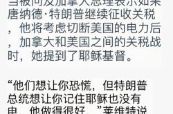 白宫誓言不会放弃关税措施 上诉之余还将考虑动用其他手段