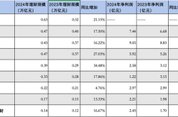 城商行理财公司2024年成绩单：代销拓展加速，苏银理财规模“领跑”