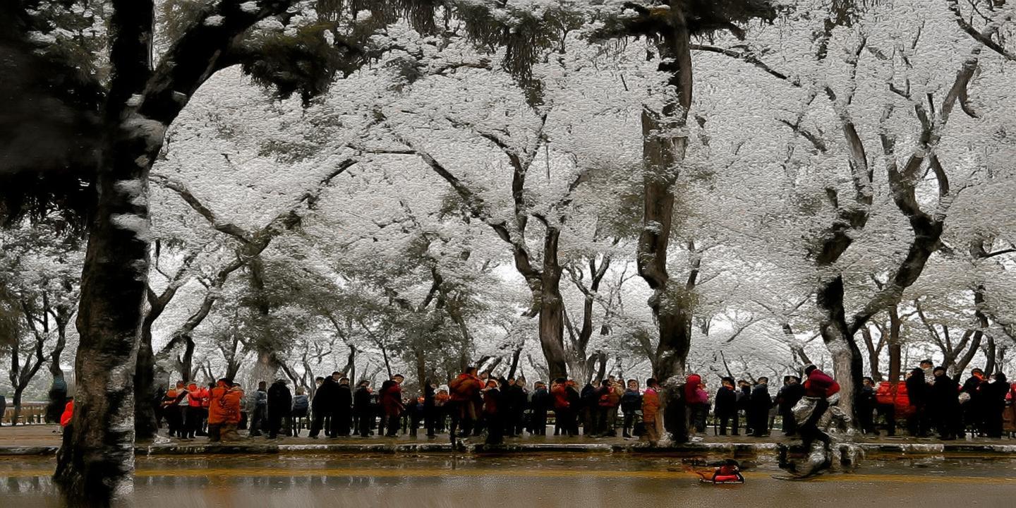《盼之天刀账号交易：揭秘虚拟世界的真实交易市场》 第1张