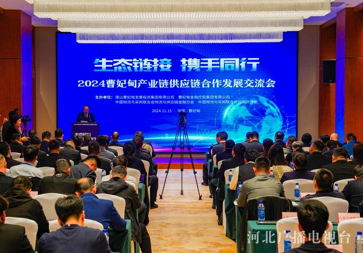 数智领航 扬帆出海：建发股份2024年供应链运营交出亮眼答卷 第1张