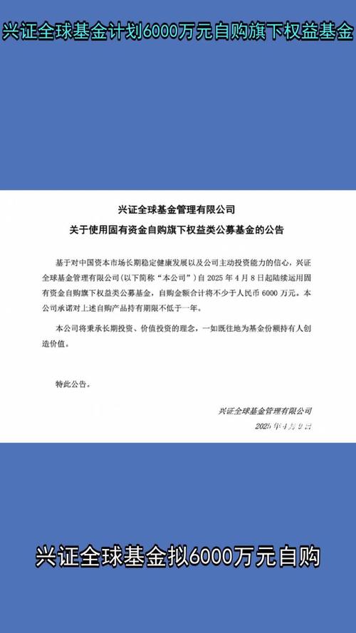 兴证全球基金童兰:以偏防守的心态对待投资 第1张 兴证全球基金童兰:以偏防守的心态对待投资 第1张