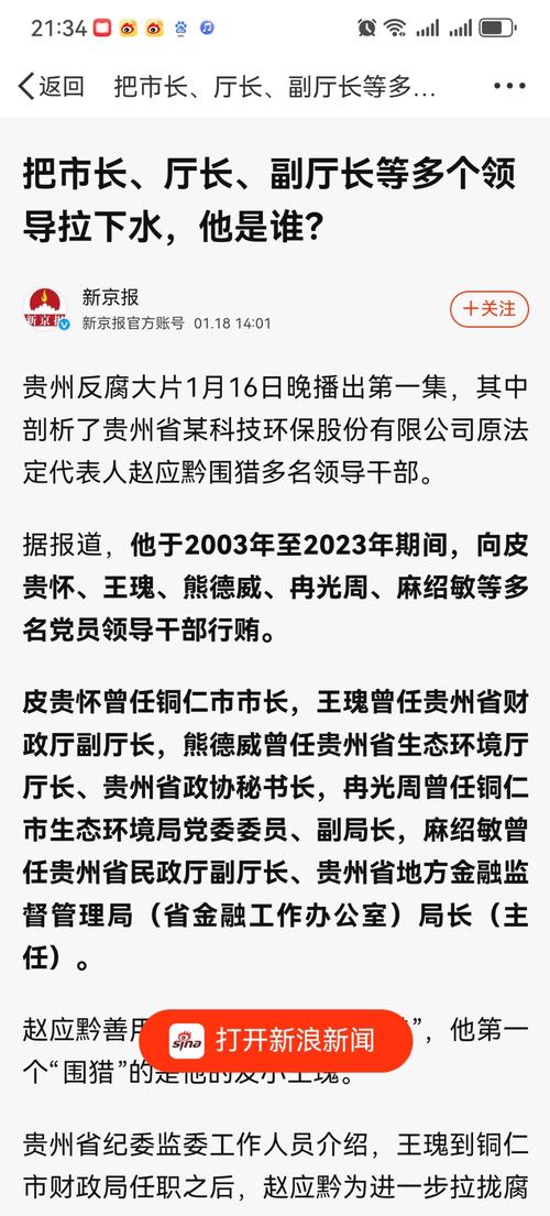 涉延安必康财务造假案，时任董事长谷晓嘉被罚500万元、十年市场禁入 第1张