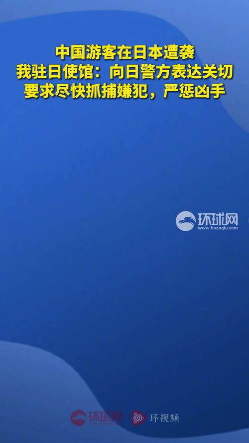 中国游客在日遭袭,驻日使馆提醒加强安全防范 第1张 中国游客在日遭袭,驻日使馆提醒加强安全防范 第1张