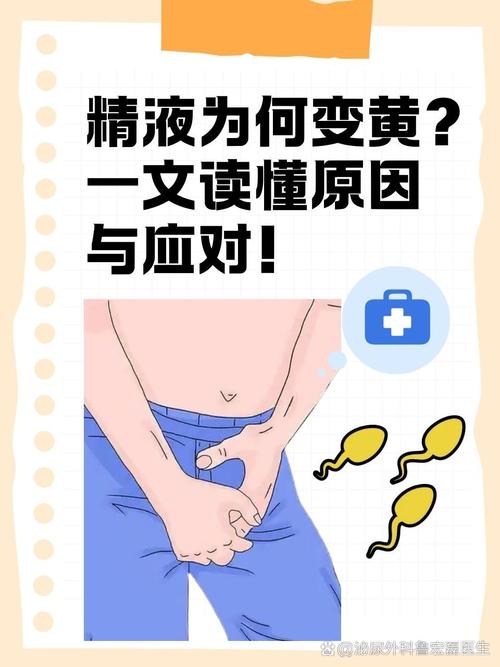 *** 的气味:揭秘男性生殖健康的密码 第1张 *** 的气味:揭秘男性生殖健康的密码 第1张